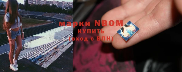 гашик Тында