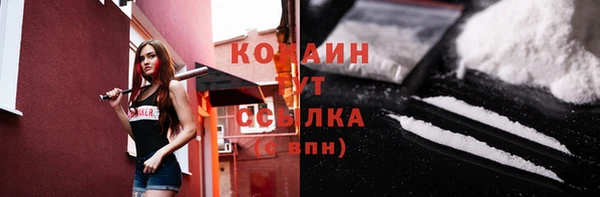 гашик Тында
