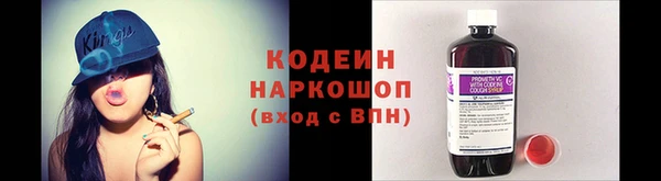 гашик Тында