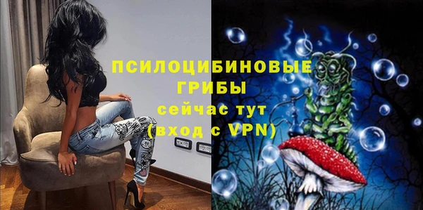 гашик Тында