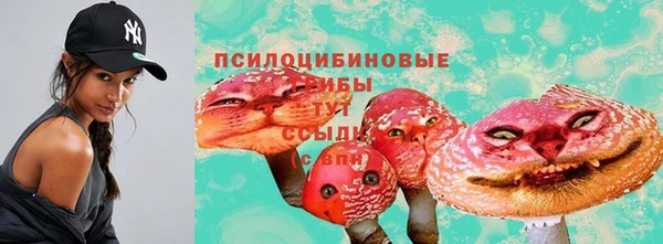 кокс Тутаев