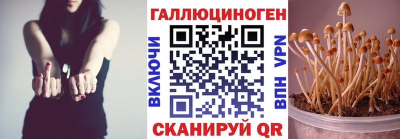 даркнет сайт  Берёзовский  Галлюциногенные грибы Psilocybine cubensis 