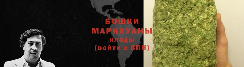 Шишки марихуана гибрид  Берёзовский 